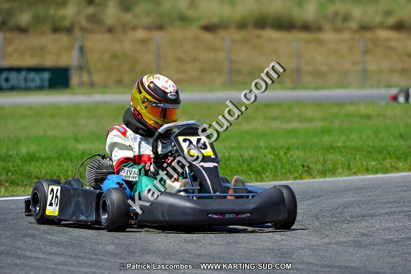 DSC_ (1472).jpg